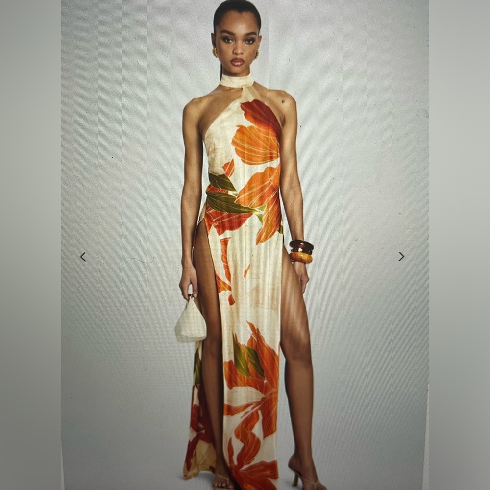 Retrofete jagger silk dress NWT